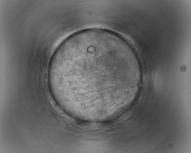 X0000112731279200909171119