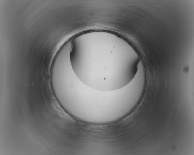 X0000112731280200909171119