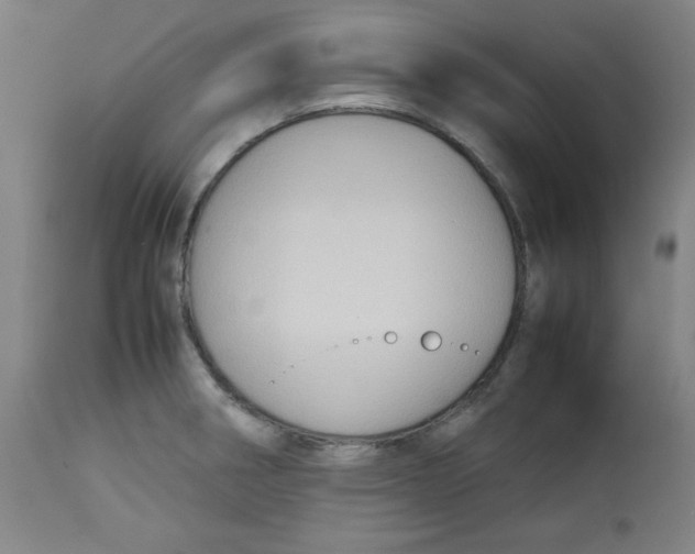 X0000112731282200909171119