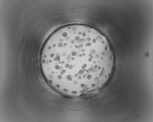 X0000112731283200909171119