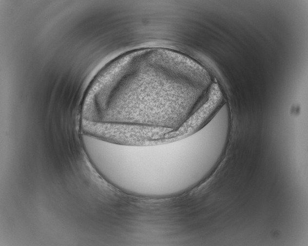 X0000112731284200909171119