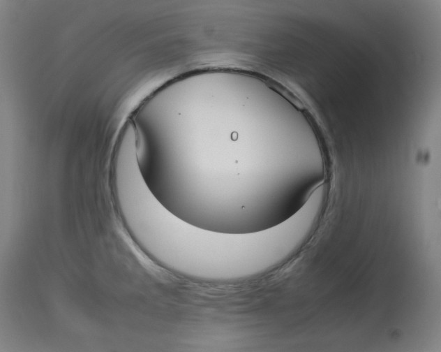 X0000112731285200909171119