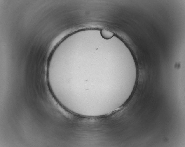 X0000112731286200909171119