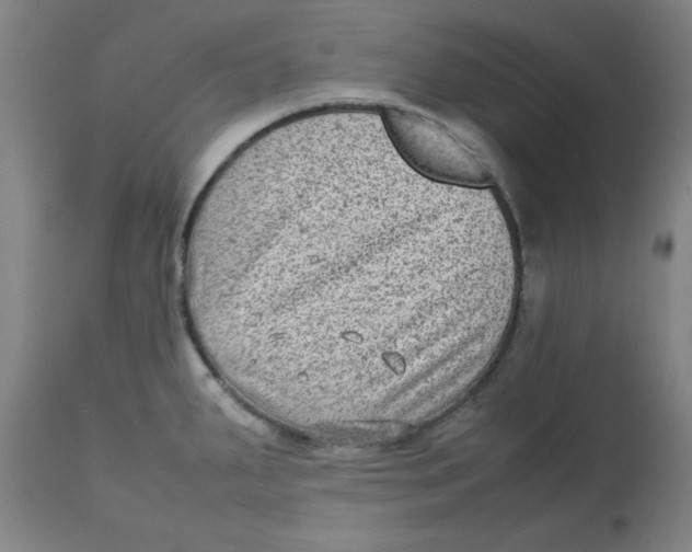 X0000112731287200909171119