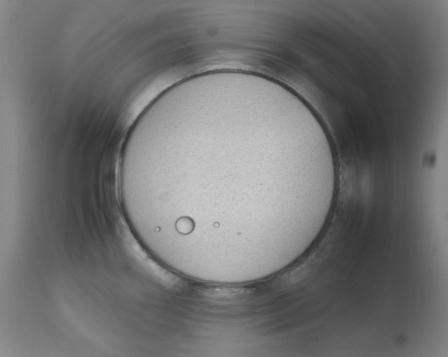 X0000112731290200909171119