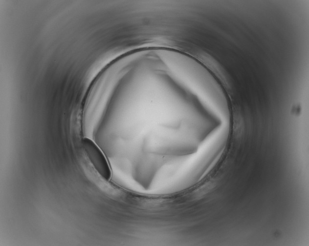 X0000112731292200909171119