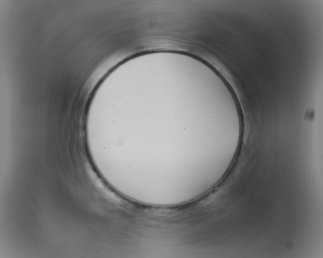 X0000112731293200909171119