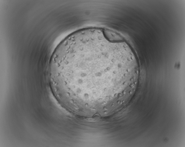 X0000112731295200909171119