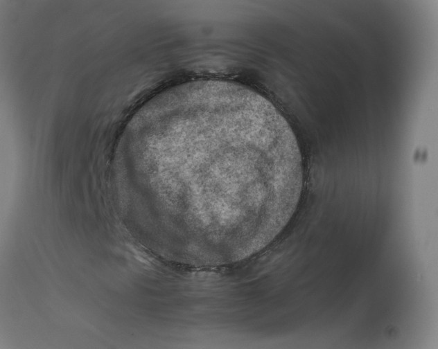 X0000112731297200909171118