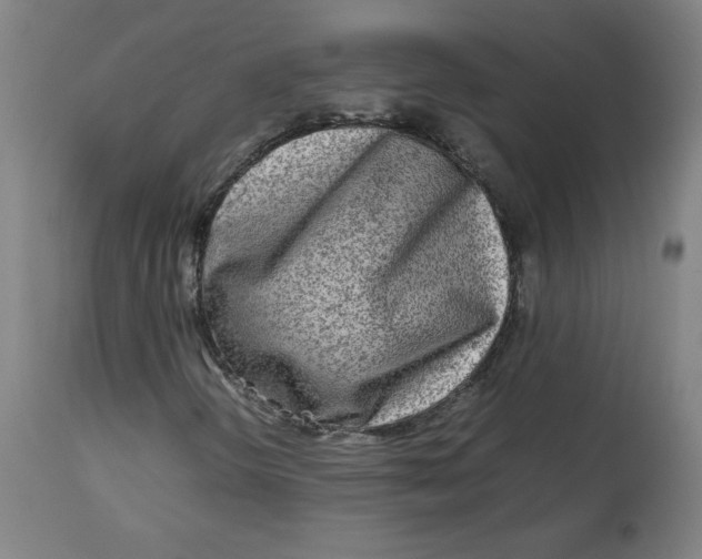 X0000112731298200909171118