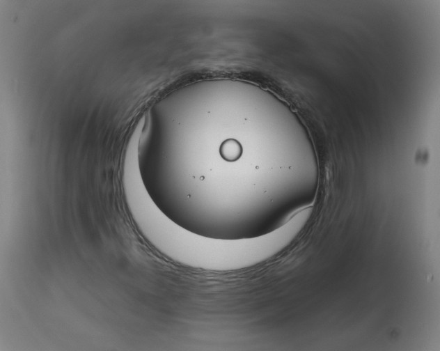 X0000112731300200909171118