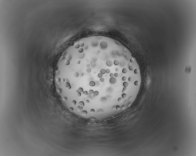 X0000112731301200909171118