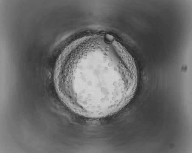 X0000112731302200909171118