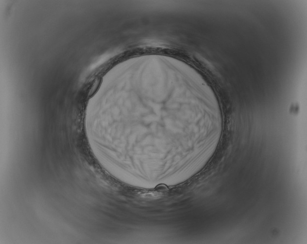 X0000112731303200909171118