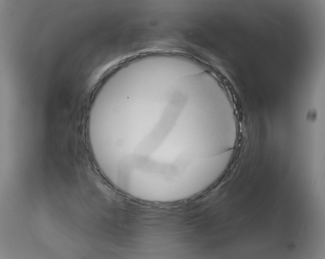 X0000112731304200909171118