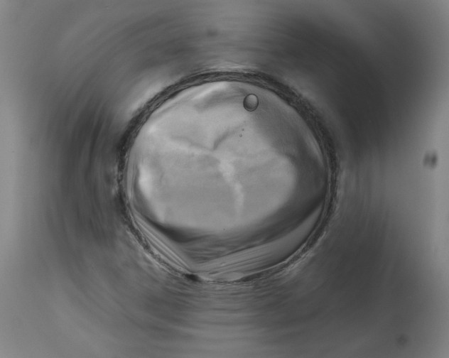 X0000112731306200909171118