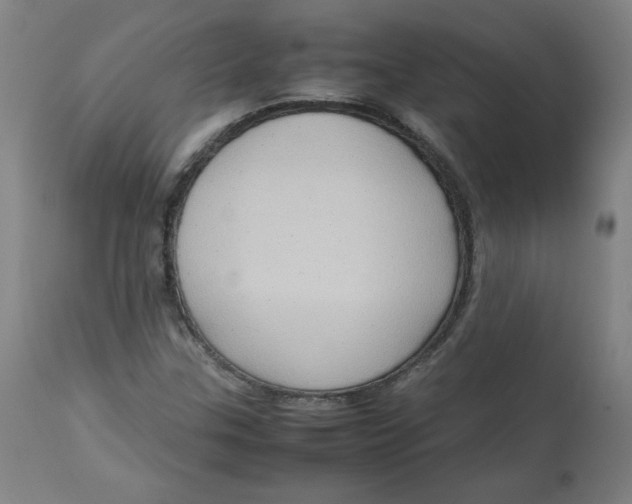 X0000112731307200909171118