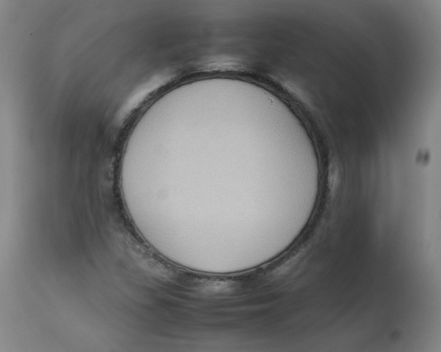 X0000112731309200909171118