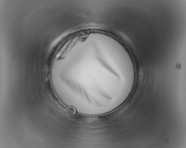 X0000112731310200909171118