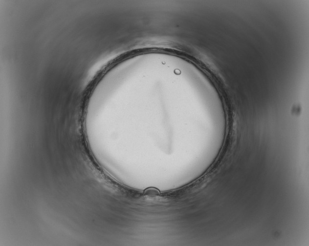 X0000112731312200909171118