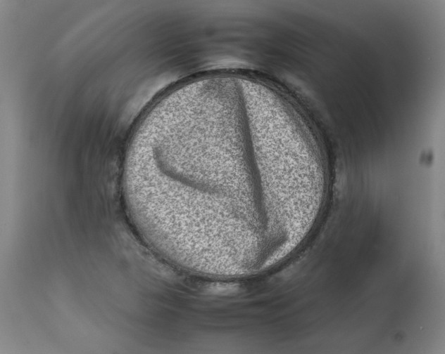 X0000112731313200909171118