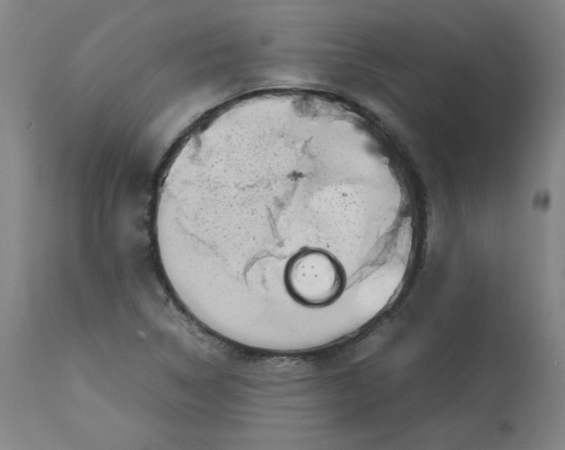 X0000112731314200909171118