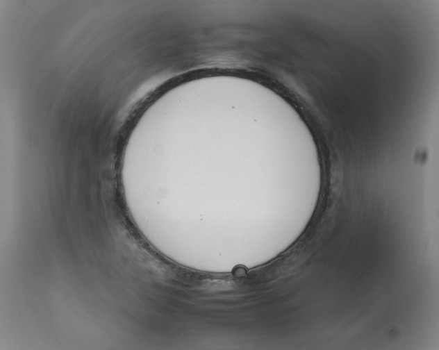 X0000112731315200909171118