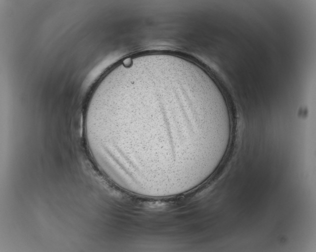 X0000112731317200909171118