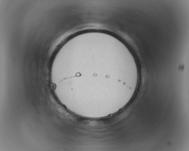 X0000112731318200909171118