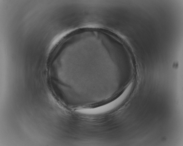 X0000112731319200909171118