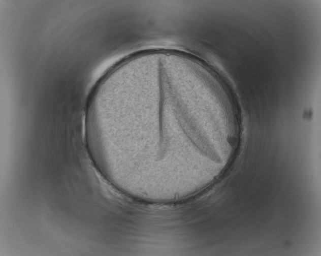 X0000112731320200909171118