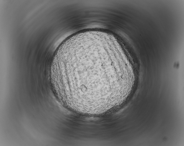 X0000112731321200909171118