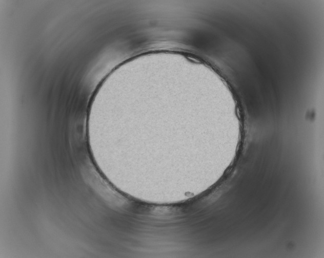 X0000112731322200909171118