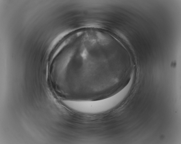 X0000112731323200909171118