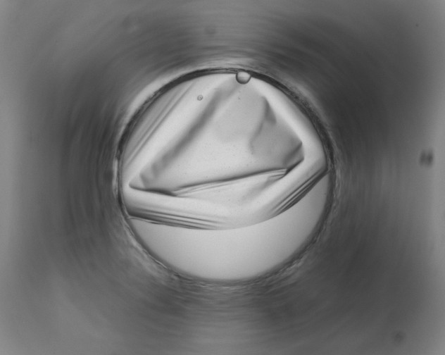 X0000112731324200909171118