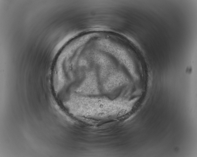 X0000112731325200909171118