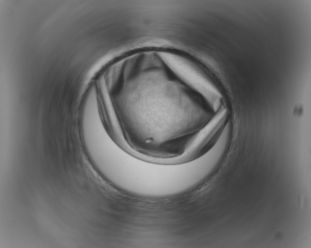 X0000112731326200909171118