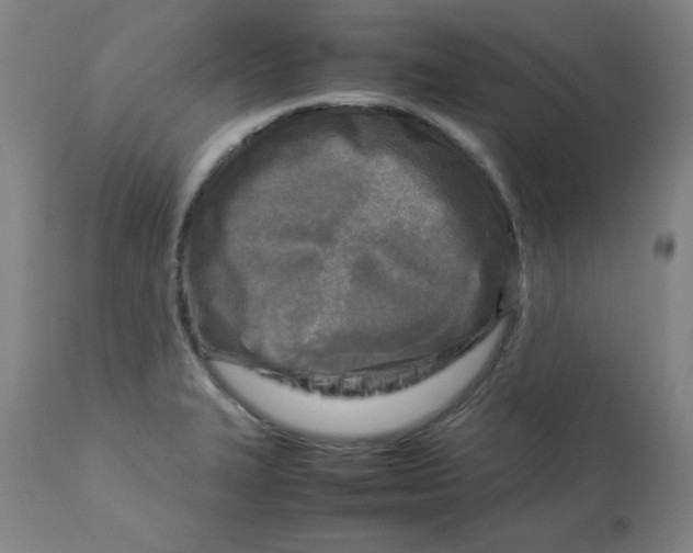 X0000112731327200909171118