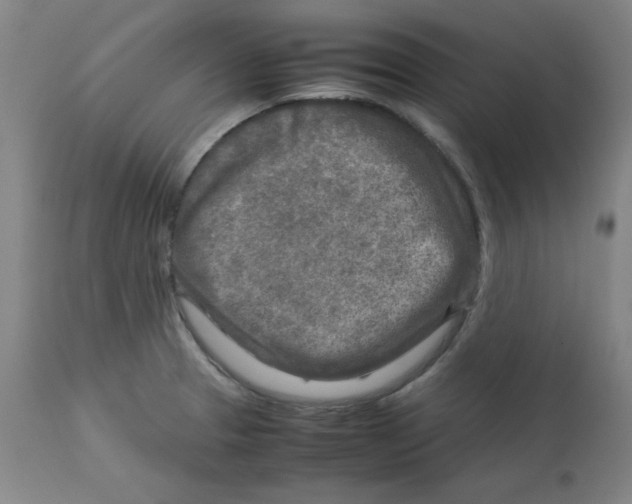 X0000112731329200909171118