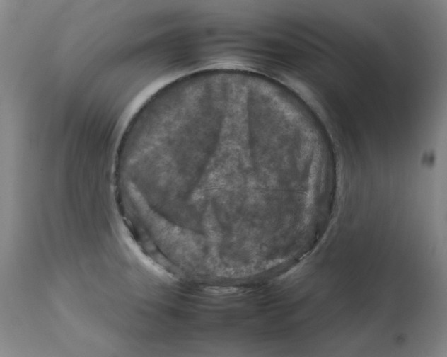 X0000112731331200909171118