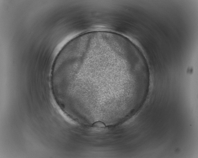 X0000112731333200909171118