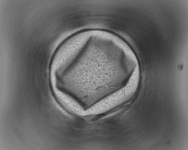 X0000112731335200909171118