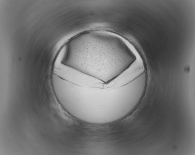 X0000112731336200909171118