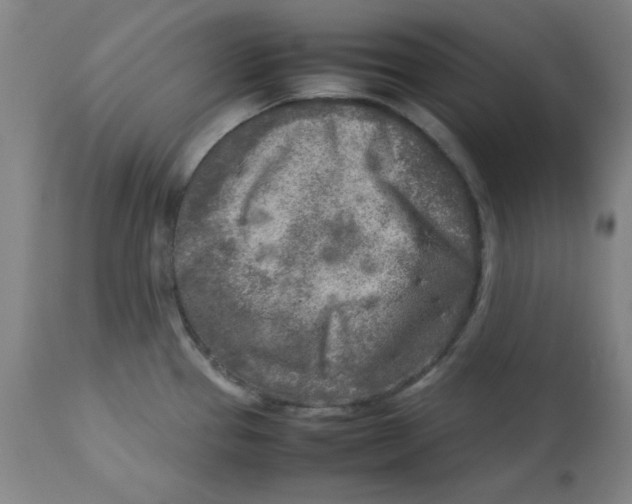 X0000112731337200909171118