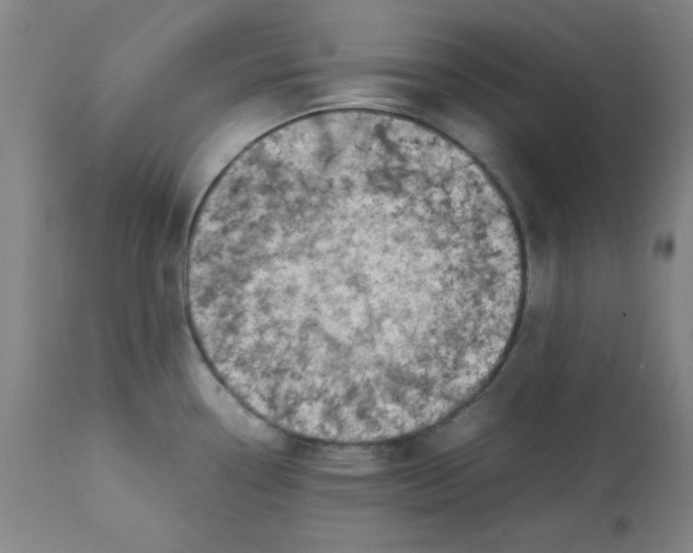 X0000112731338200909171118