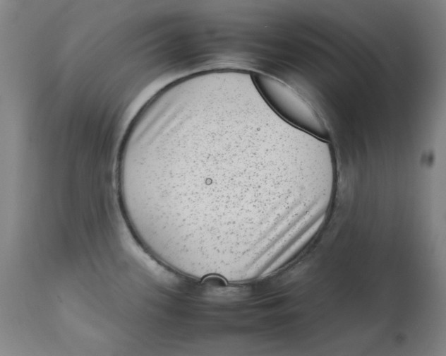 X0000112731339200909171118