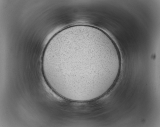 X0000112731341200909171118