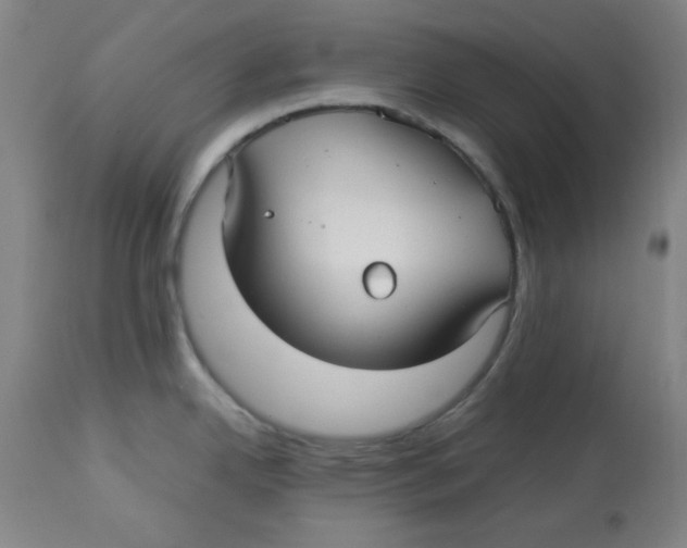 X0000112731342200909171118