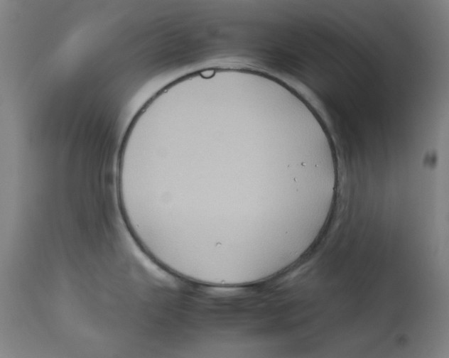 X0000112731343200909171118