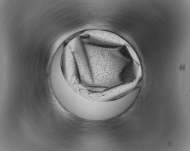 X0000112731344200909171118